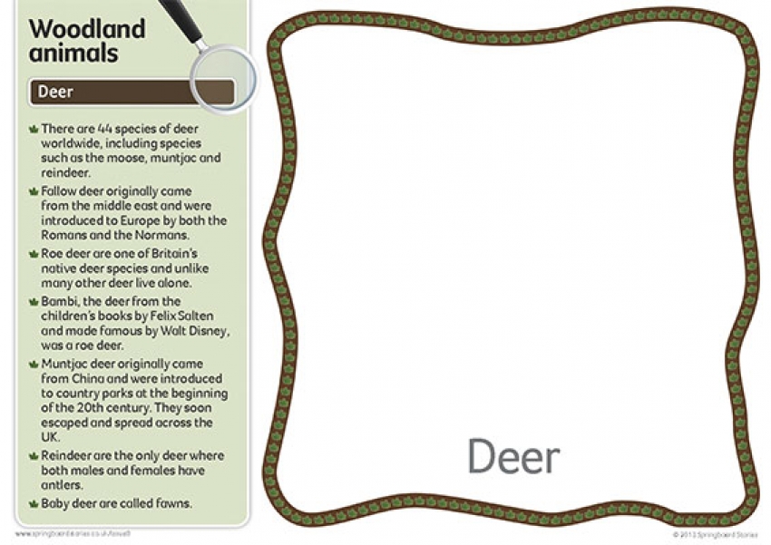 Woodland fact cards primary resource &ndash; text only