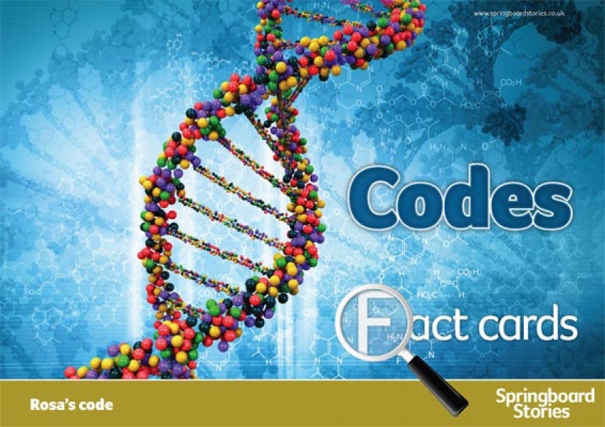 Codes fact cards primary resource