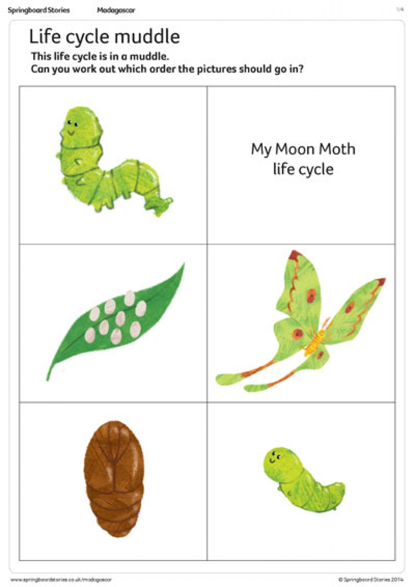Life cycle muddle