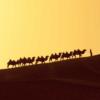 Journey along the Silk Road