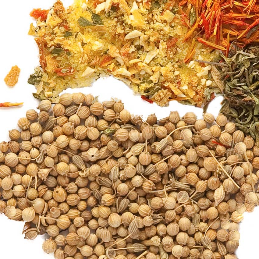 The world on a plate