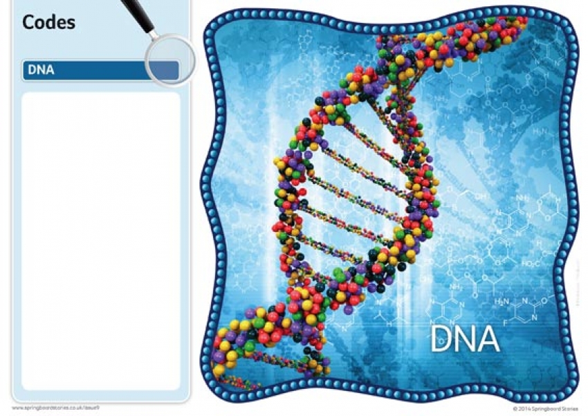 Codes fact cards &ndash; image only primary resource