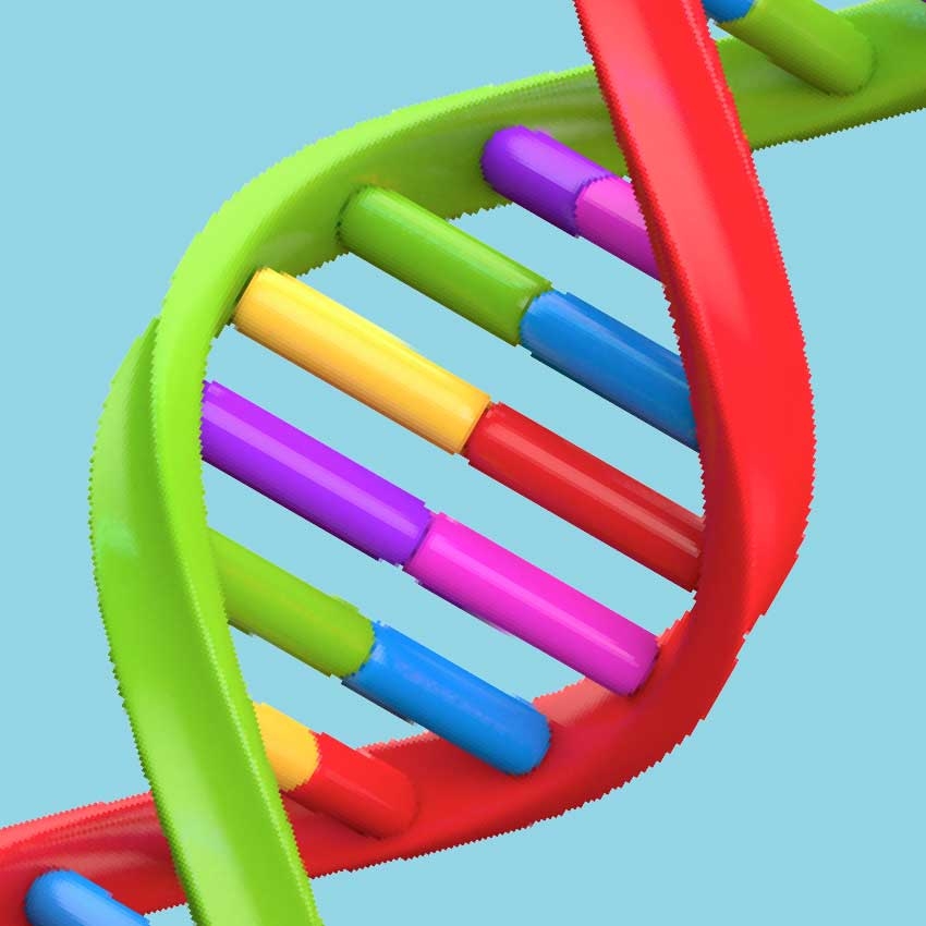 Discovering DNA