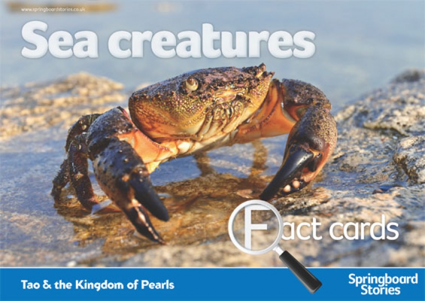 The Sea Fact Cards primary resources