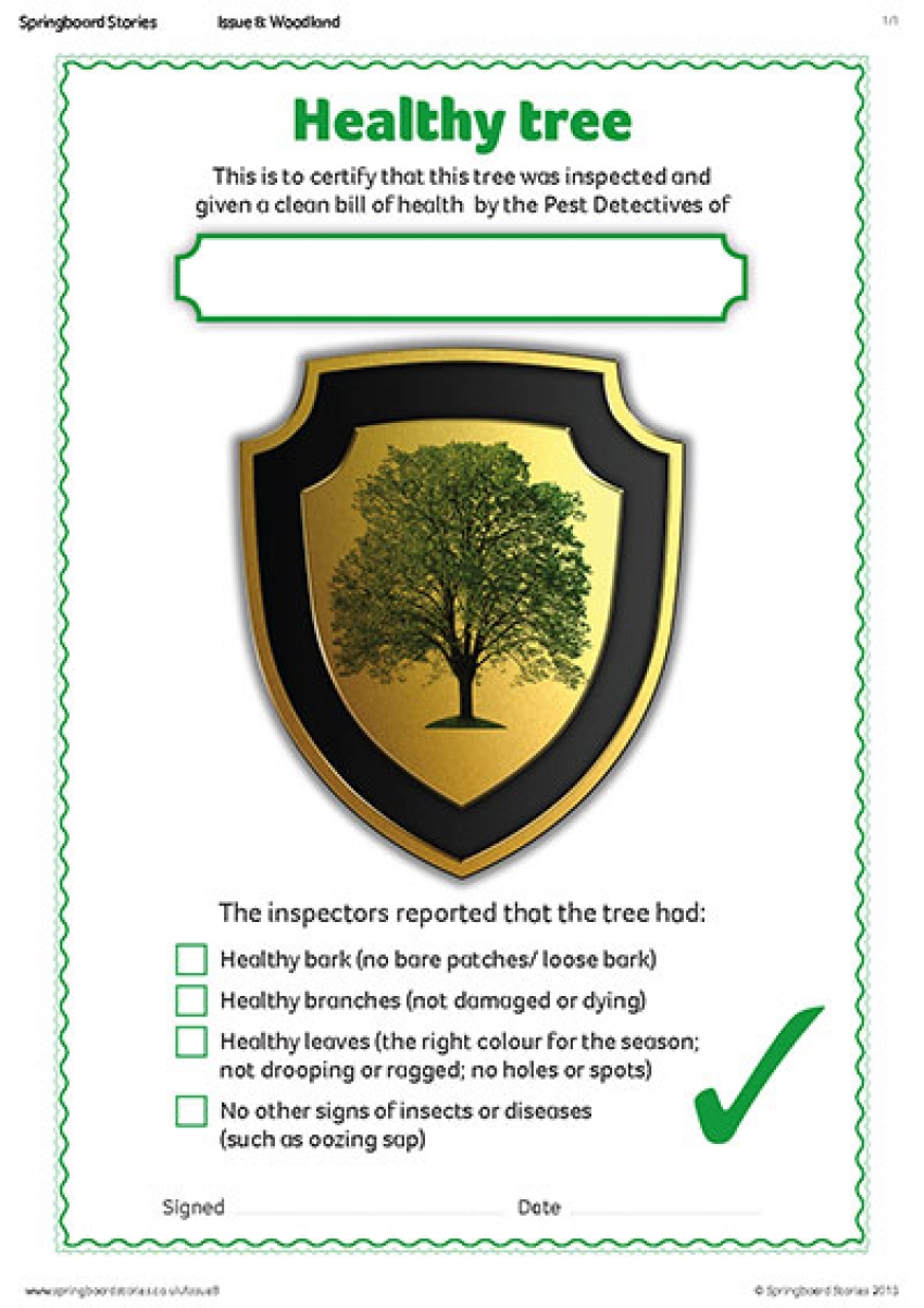 Healthy tree certificate primary resource