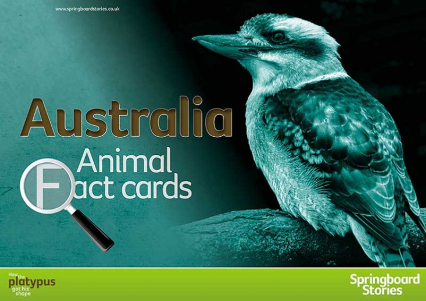 Australia animal fact cards