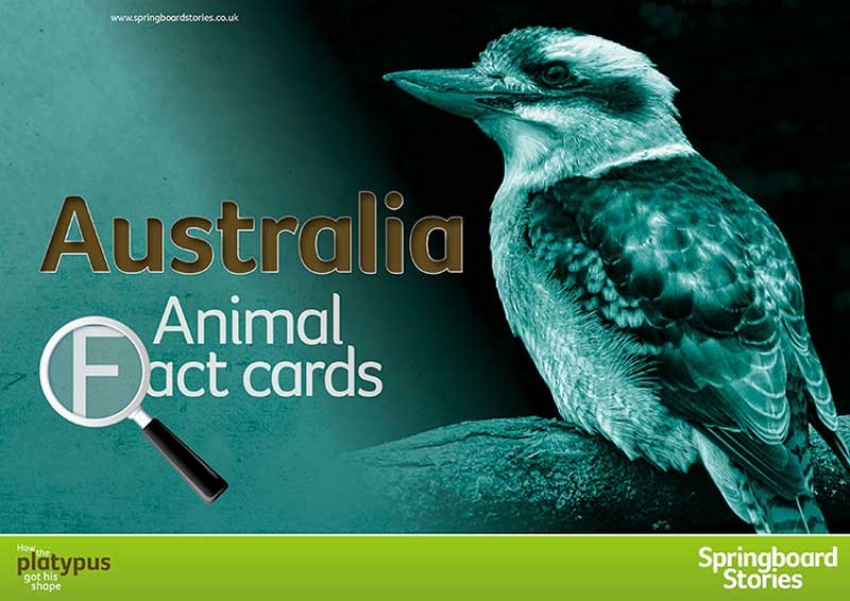 Australian fact cards primary resource