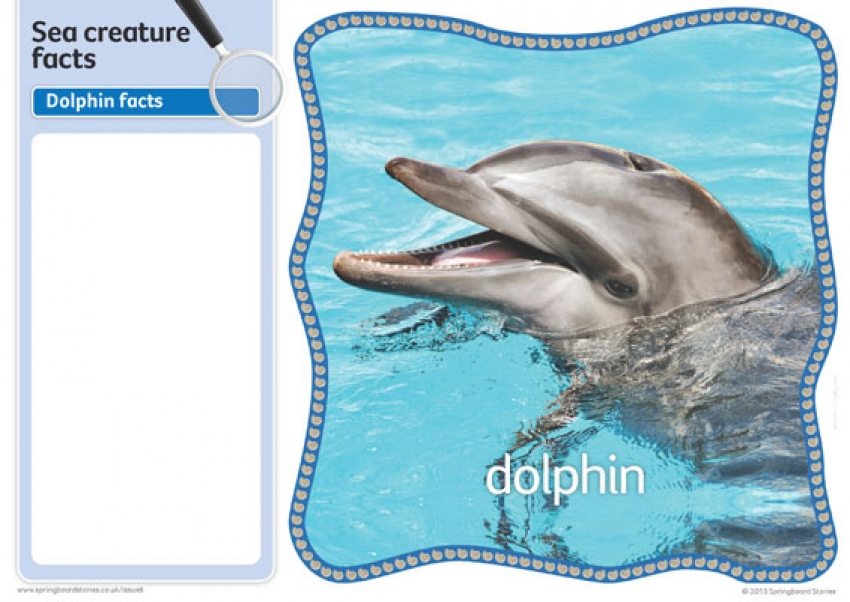 The sea fact cards &ndash; image only