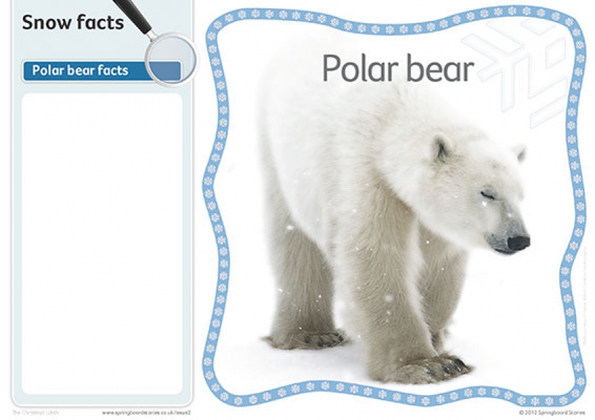 Snow fact cards &ndash; image only