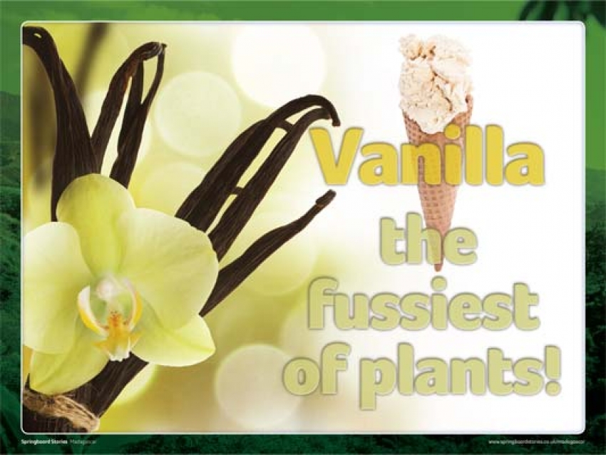 Vanilla slideshow